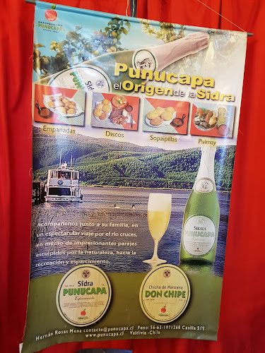 Sociedad Agropecuaria Punucapa S.A.