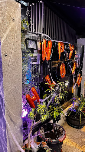 Comentarii opinii despre INVICTUS