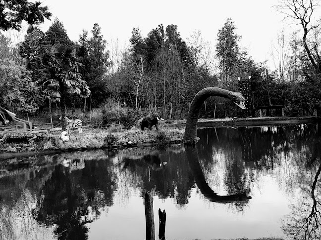 Opinii despre Camping Paraiso în Pinto - Gastronomía y hostelería