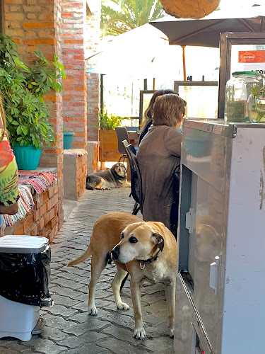 Fuente Liverpool La Herradura Phone number