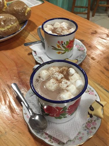 Camilo Henríquez 266, Valdivia, Los Ríos