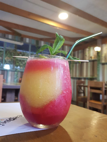 1699,, Dr. A Gunther 1601, Valdivia, Los Ríos