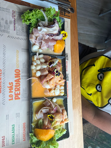 Sol Restaurant - Gastronomía y hostelería