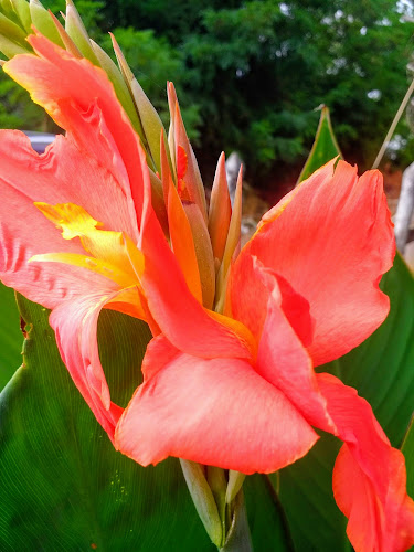 Reviews of Agricola Balmoral Ltda in Chimbarongo - Gastronomía y hostelería