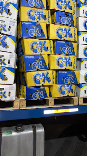 Bandelsur frigorifico Batuco - Gastronomía y hostelería