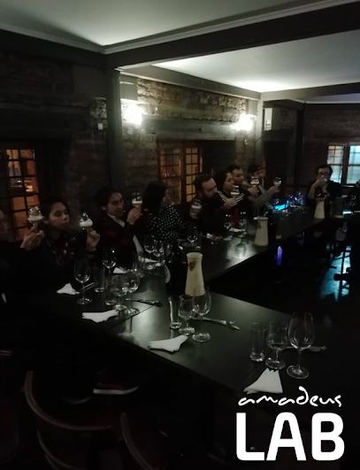 Amadeus LAB