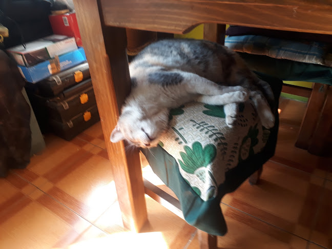 Feria Recoleta - Gastronomía y hostelería