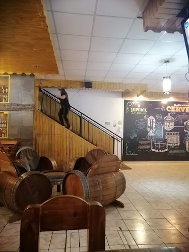 Lupulo's Bar - Gastronomía y hostelería