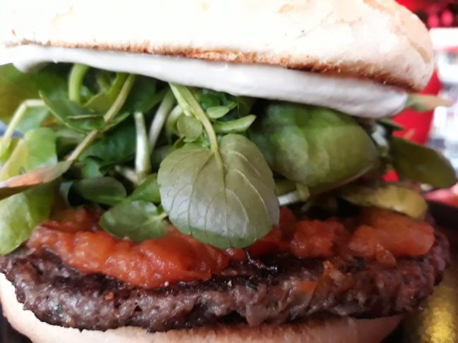 Comments and reviews of BEERHOUSE BAR PUCON