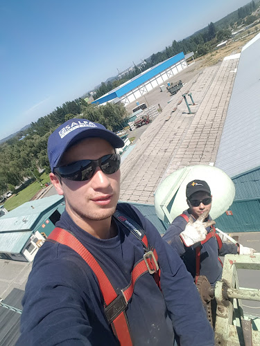 Opinii despre Grupo Puelche în Los Angeles - Gastronomía y hostelería