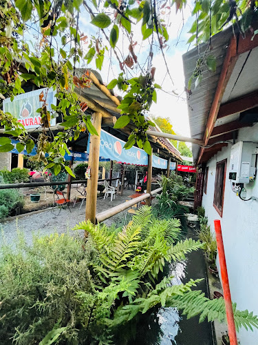 Avenida Julio Fernández, Agua Buena, San Fernando, O'Higgins