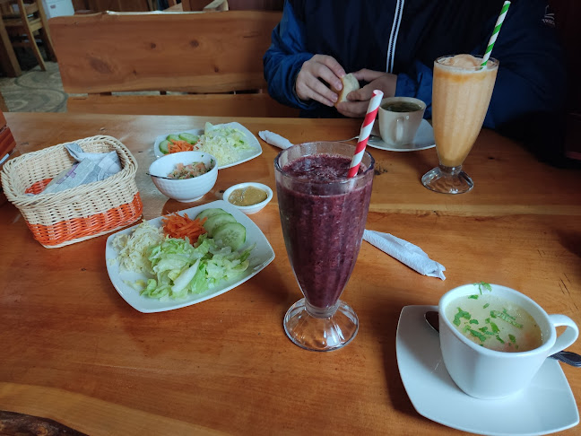 Termas Quilalelfu - Gastronomía y hostelería