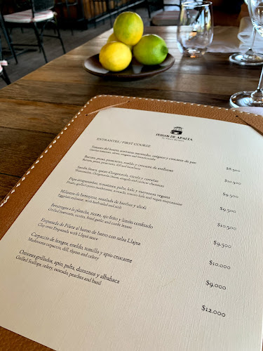 Opinii despre Fuegos de Apalta în Santa Cruz - Gastronomía y hostelería