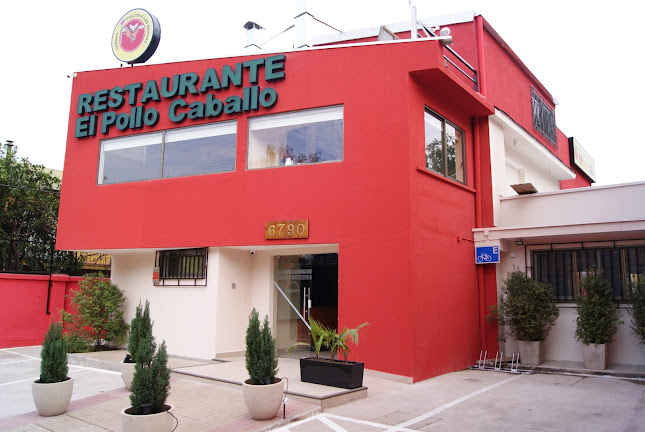 El Pollo Caballo - La Reina