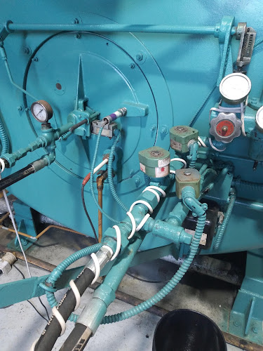 Opinii despre Planta Salmones Aysén Ancud în Ancud - Gastronomía y hostelería