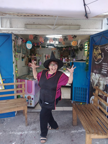 Ortiz de Rozas 564, A, 8440463 Recoleta, Región Metropolitana