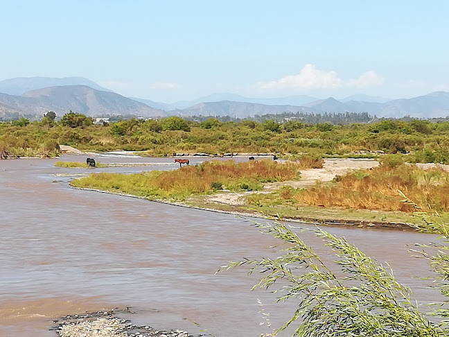 Comentarii opinii despre Agricola Cuncumen