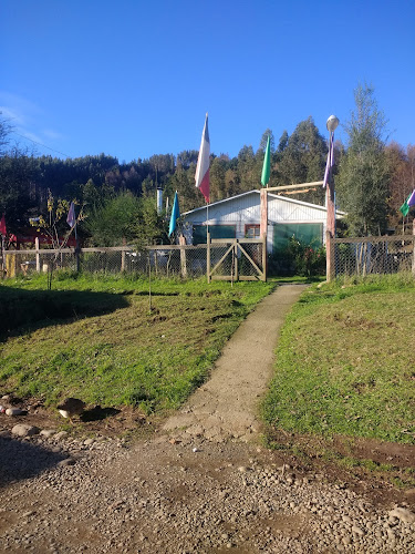 Comentarii opinii despre Comida Rica