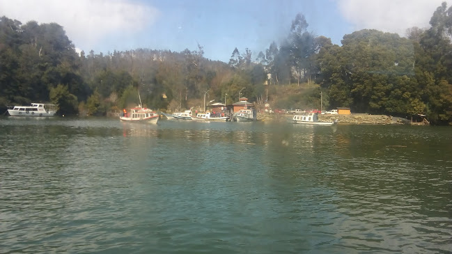 Restauran Y Camping Don De Siempre