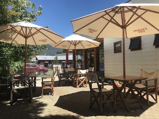 La Ranita de Darwin - Panguipulli