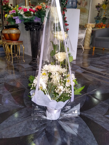 Florería Primavera Antofagasta - Gastronomía y hostelería