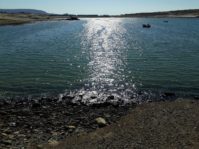 Opinii despre artepizza copiapo în Copiapó - Gastronomía y hostelería