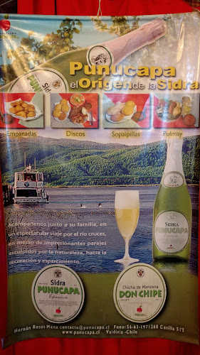 Sociedad Agropecuaria Punucapa S.A. - Punucapa