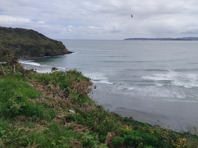 Comments and reviews of Restaurant Piedra Run