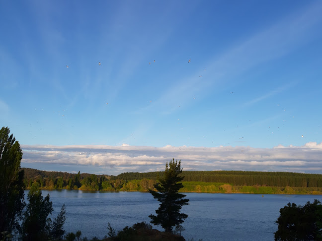 Viña Doña Luisa Millapoa - Nacimiento