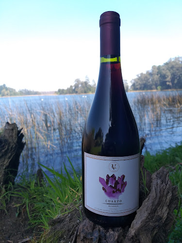 Opinii despre Vinos - DON PABLO Y SU CAVA în Chiguayante - Gastronomía y hostelería