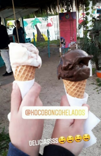 Kocobongo Open Times