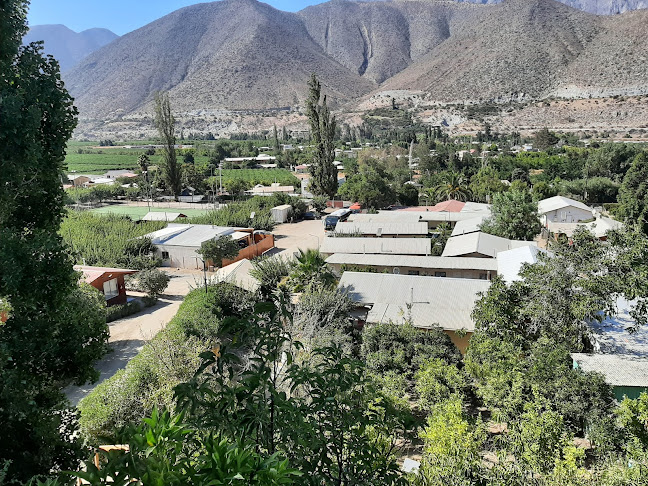 Jopia restaurant - Gastronomía y hostelería