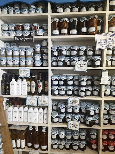 Camilo Henríquez 341, 4930481 Villarrica, Araucanía