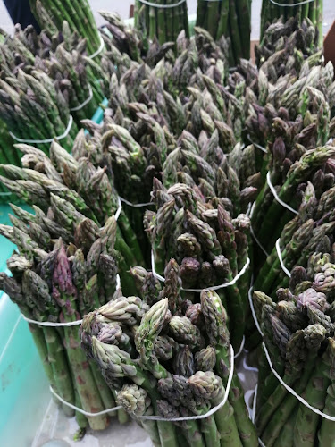 Parque Industrial Phone number