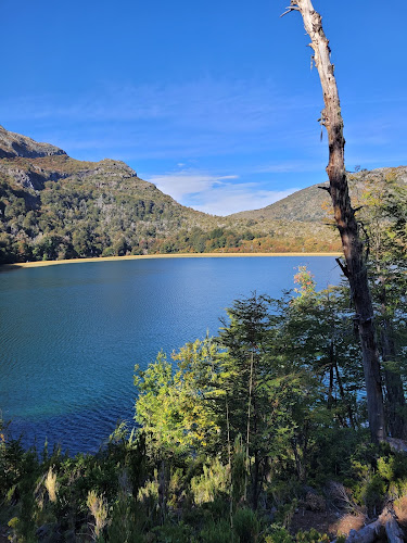 Opinii despre Hostal El Faro în Yungay - Gastronomía y hostelería