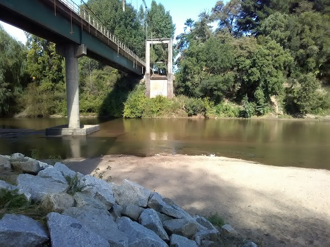 Sushi Lovers - Nacimiento