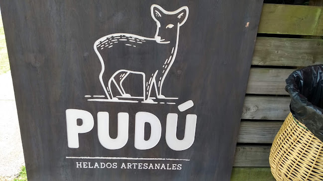Comentarii opinii despre Helados Artesanales PUDÚ