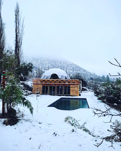 Comments and reviews of Jopia restaurant