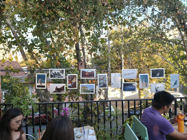 Pícara Pájara Pizzería - Gastronomía y hostelería