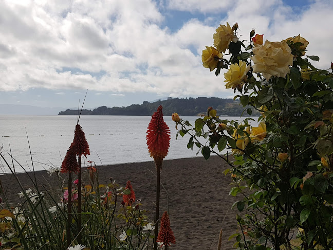 Comentarii opinii despre COFFEEHAUS FRUTILLAR