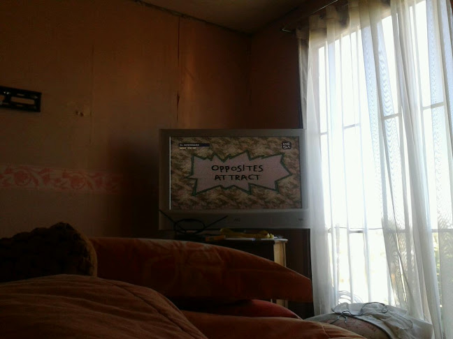 Opinii despre Luis Aldo Moreno Leal în Padre las Casas - Gastronomía y hostelería