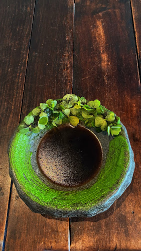 Comentarii opinii despre Boragó