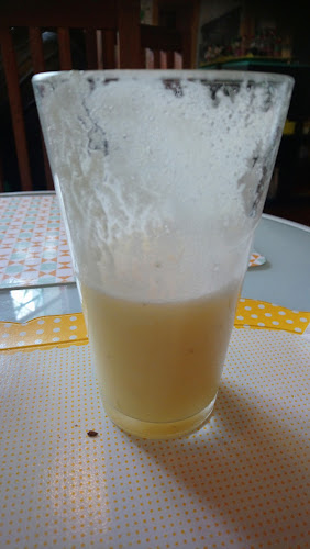 Fresia 529, 7501520 Providencia, Región Metropolitana