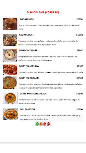 namaste india comida hindu - Gastronomía y hostelería