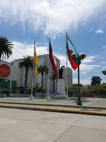 Burger King El Llano Open Times