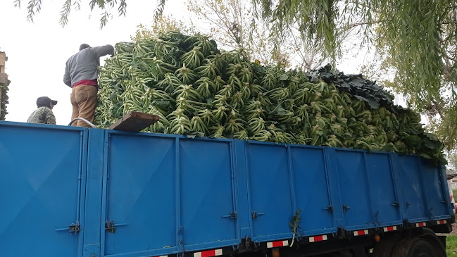 Parque Industrial Phone number