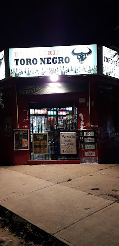 Botillería Toro Negro