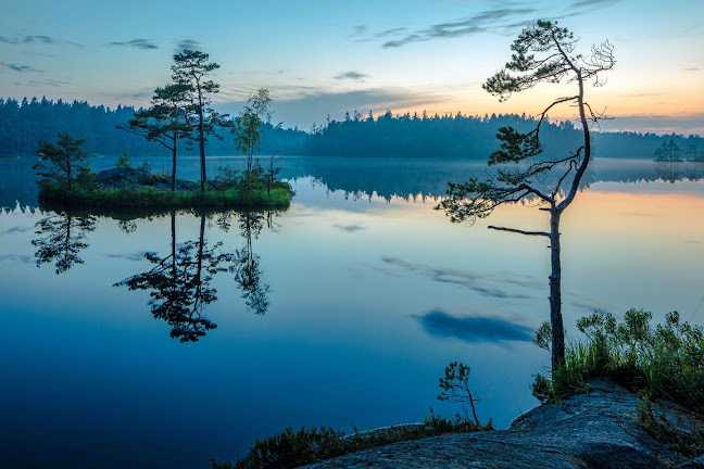 Opinii despre Los Tilos în Renca - Gastronomía y hostelería