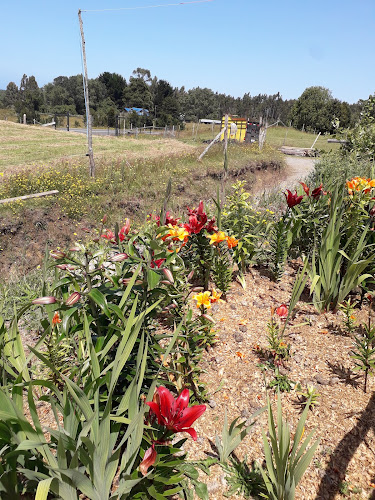 V-891, Calbuco, Los Lagos