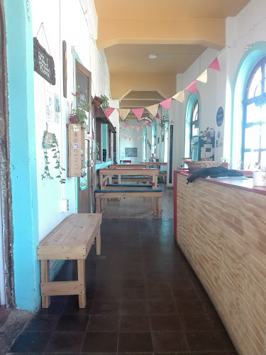 Placer Gourmet - Ancud